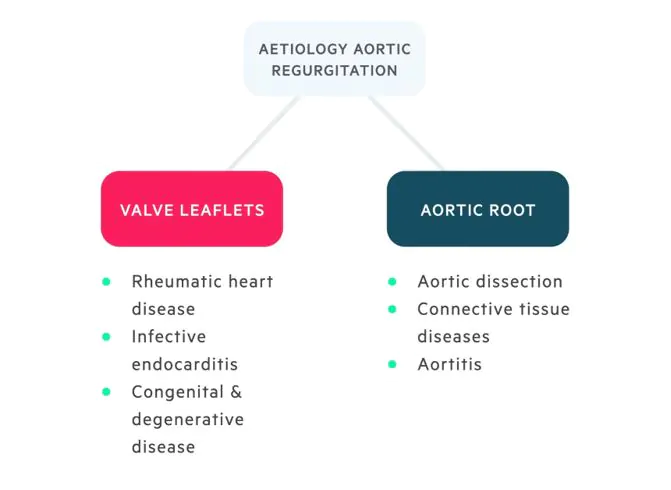 aortic-valve-regurgitation-vejthani-hospital-jci-accredited