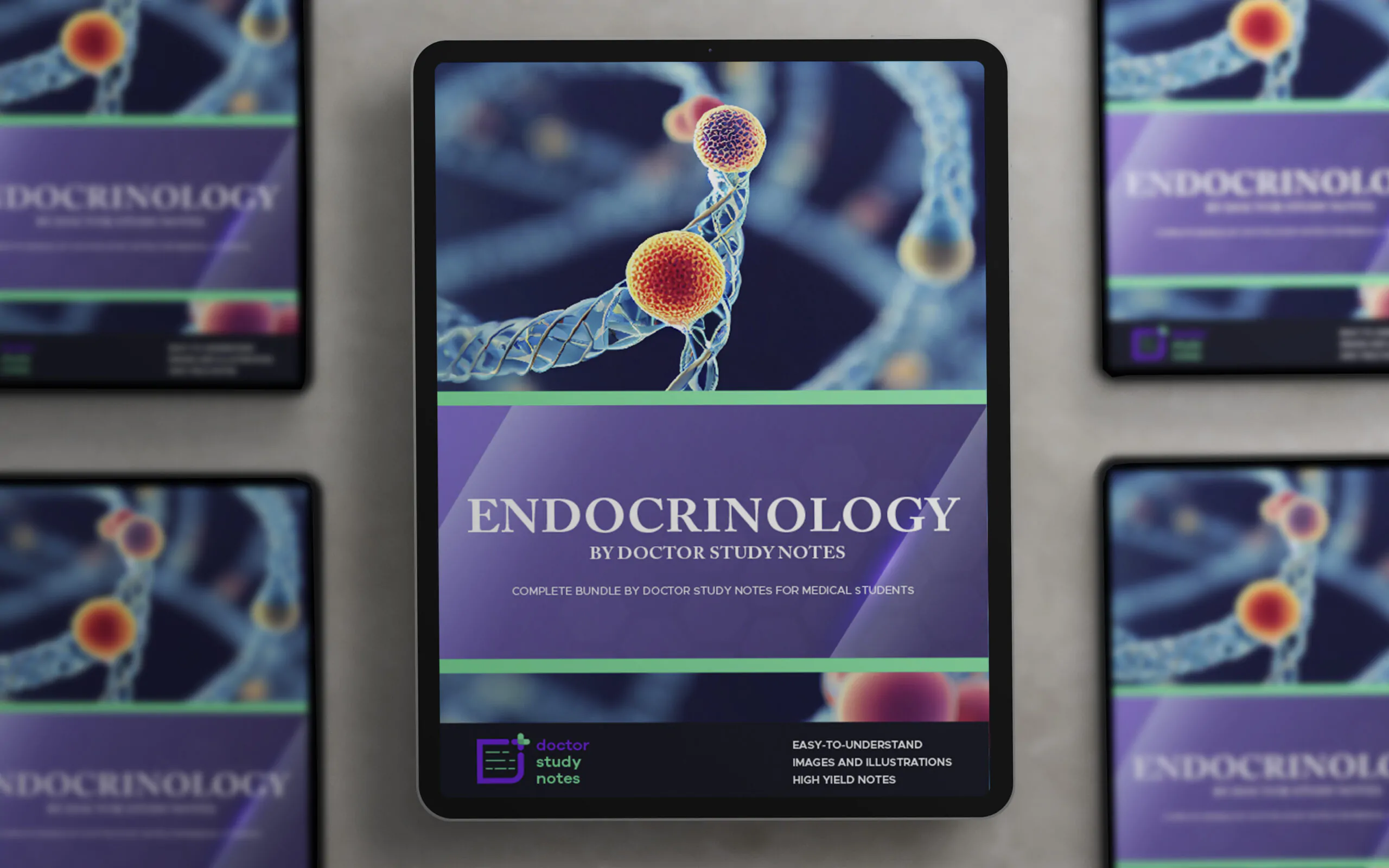 Endocrinology Study Guide for Medical & Nursing Students - Doctor Study Notes - Image 2
